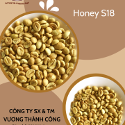 Robusta Honey – S18