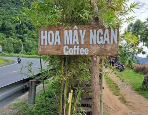 Vương Thành Công hợp tác shop hoa mây ngàn Tây Nguyên