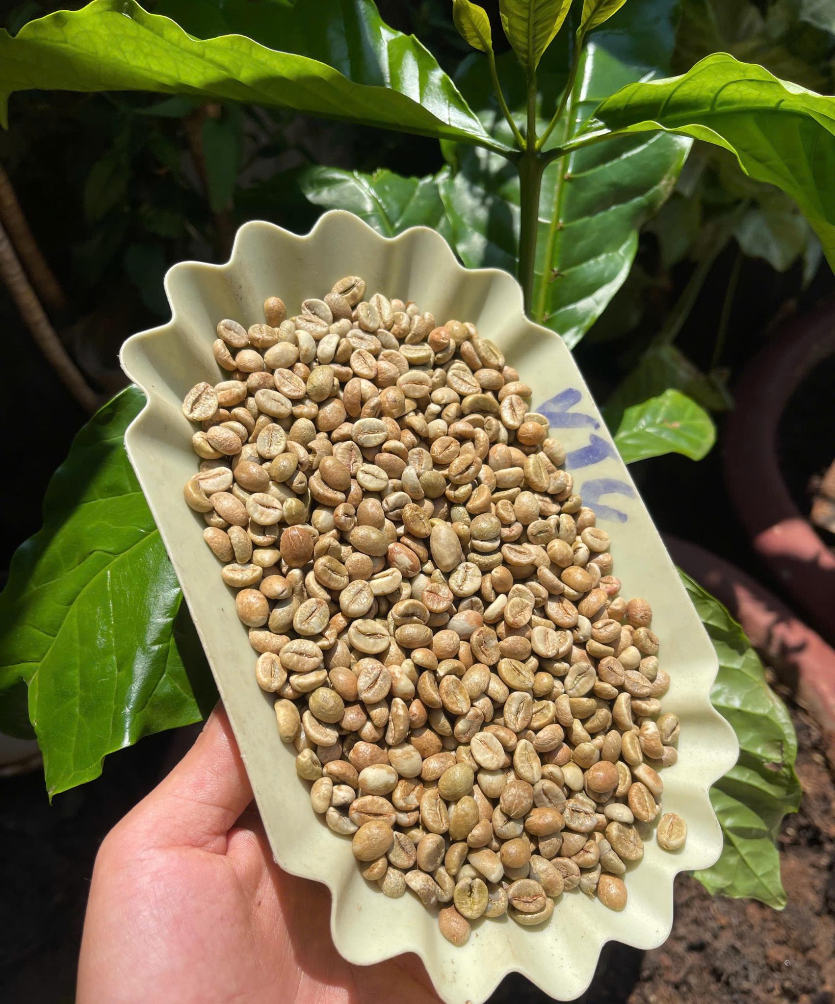 Các sản phẩm cà phê của Vương Thành Công 2