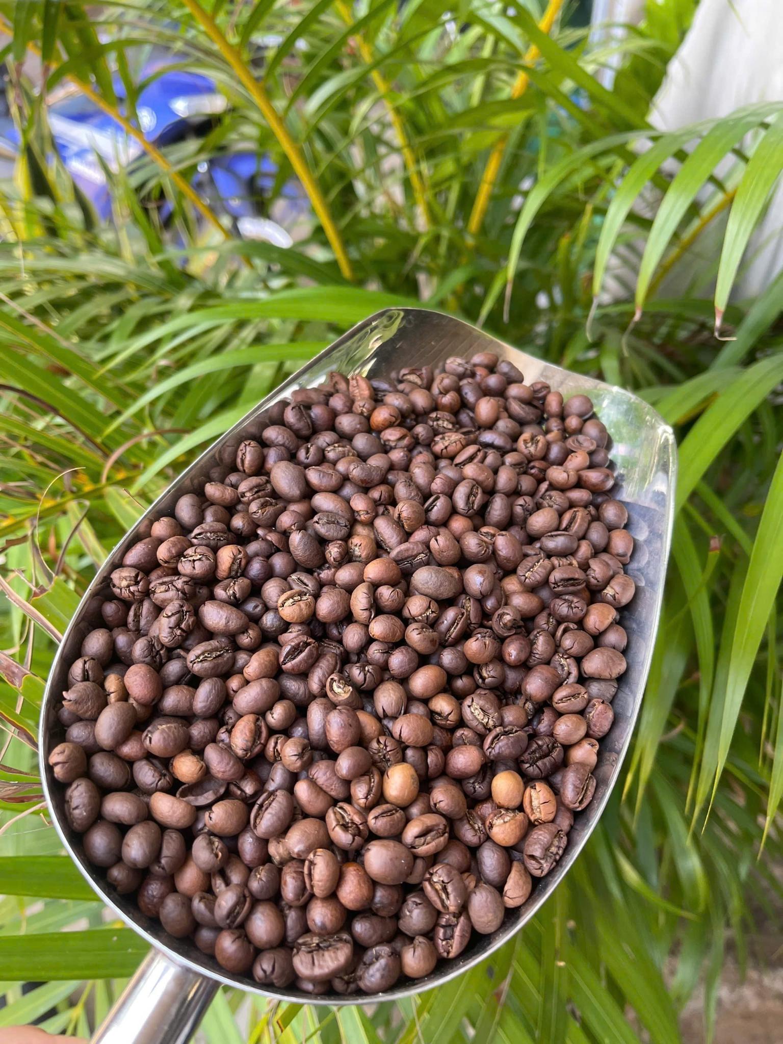 Sản phẩm cà phê của Vương Thành Công